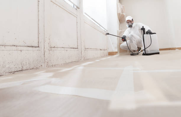 24/7 Emergency Attic Mold Removal experts in Warren, MI